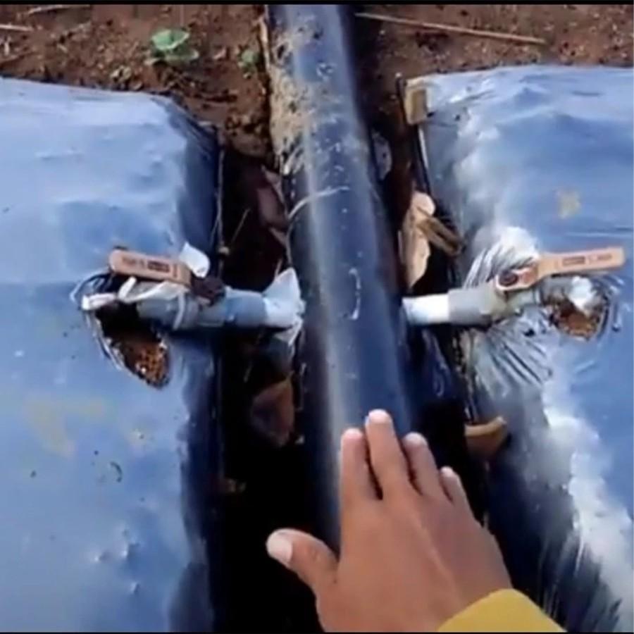 c1524ce5d5c24737b828f9cc7265b700~